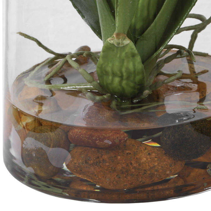 Dancing Orchid in Glass Vase