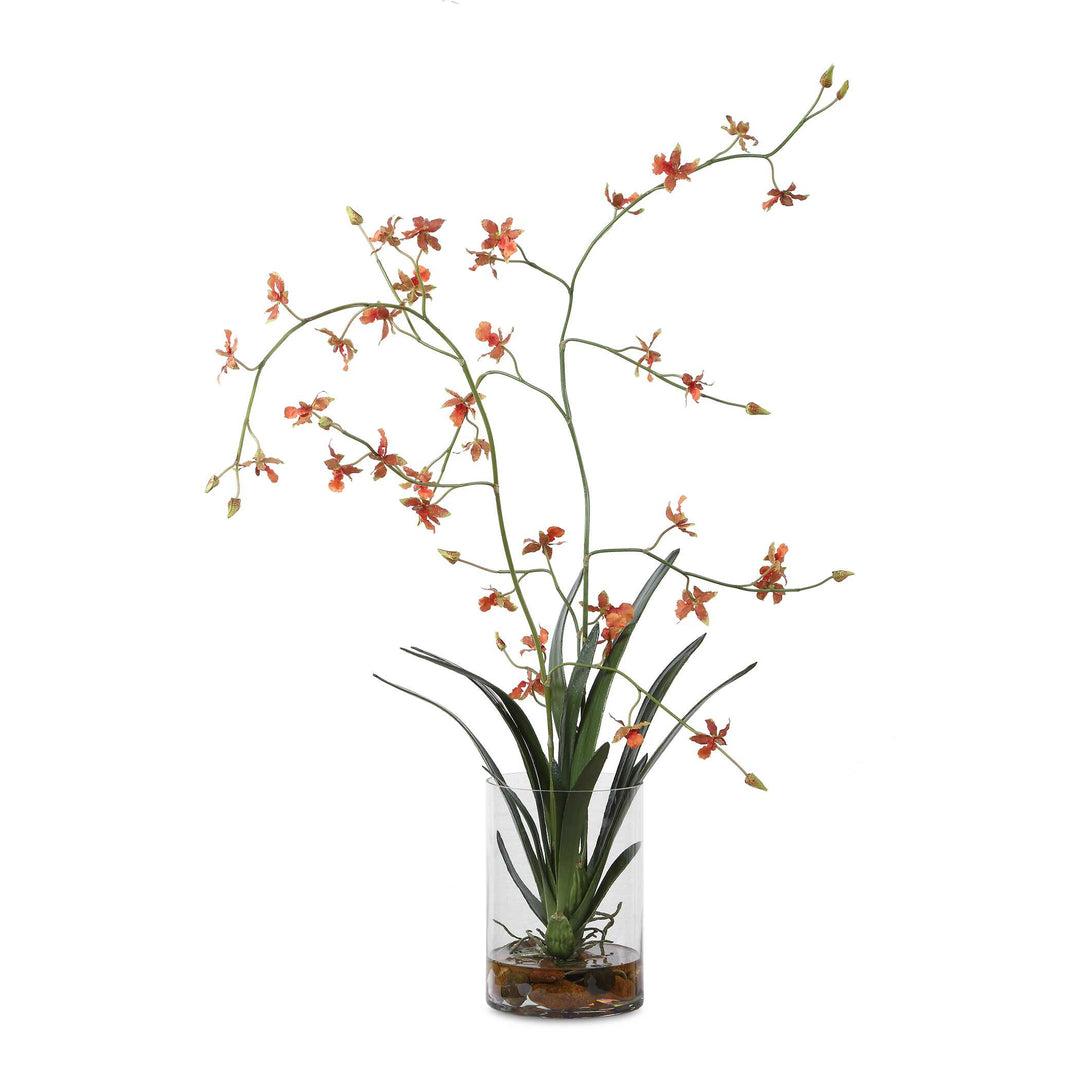 Dancing Orchid in Glass Vase