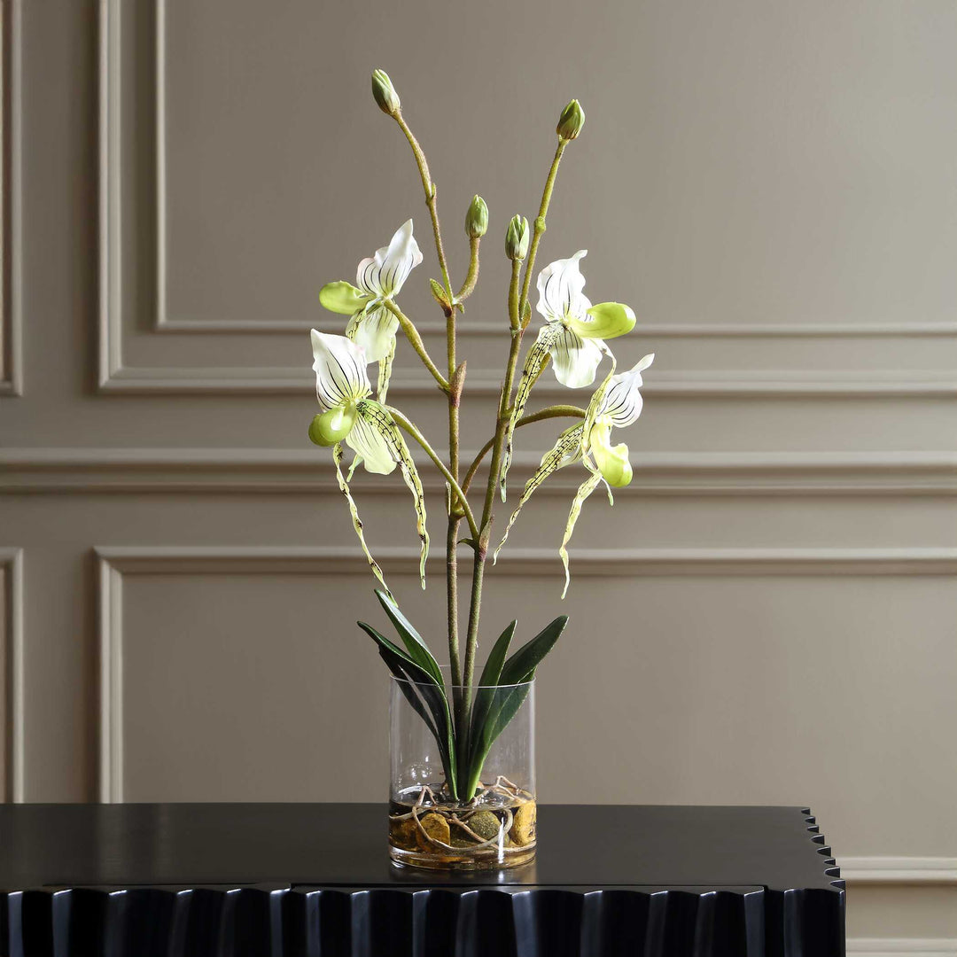 Lady Slipper Orchid in Glass Vase