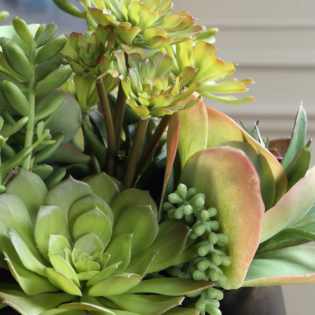 Mico Indoor-Outdoor Succulent Centerpiece