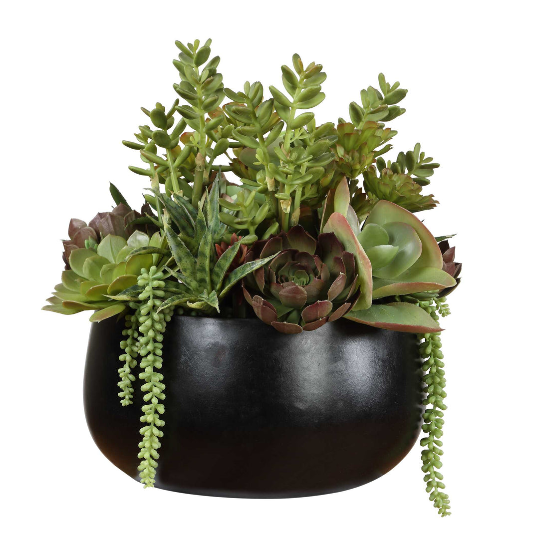 Mico Indoor-Outdoor Succulent Centerpiece