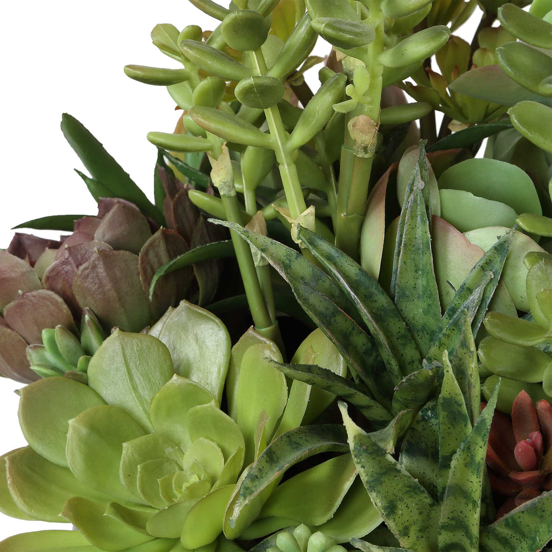 Mico Indoor-Outdoor Succulent Centerpiece