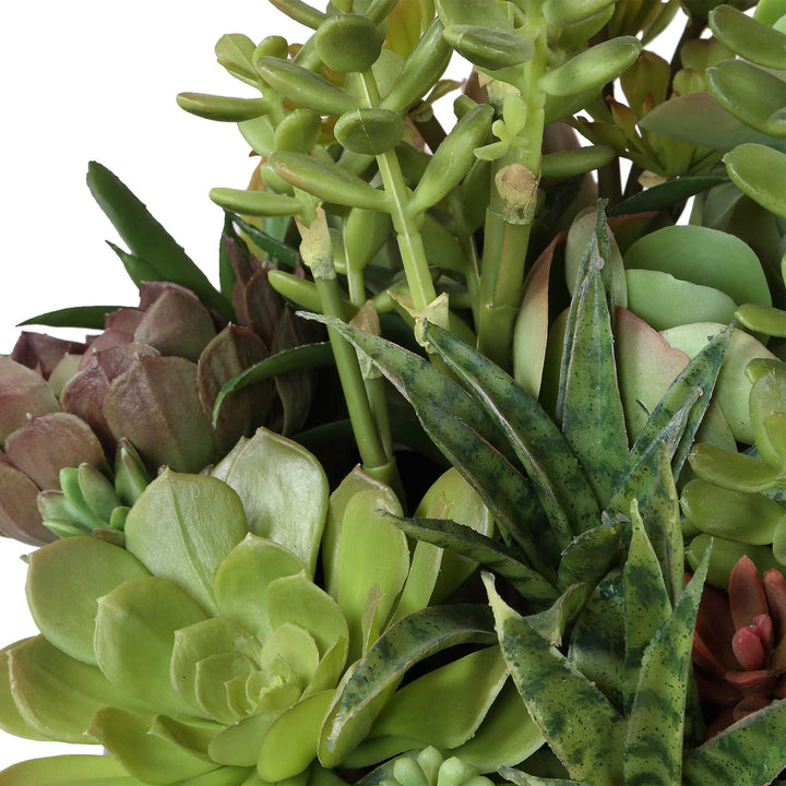 Mico Indoor-Outdoor Succulent Centerpiece