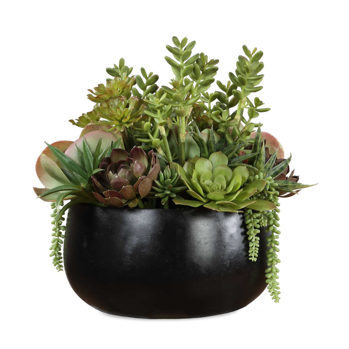 Mico Indoor-Outdoor Succulent Centerpiece