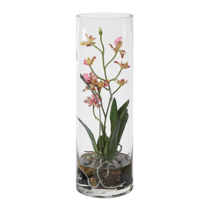 Mariposa Pink Orchid
