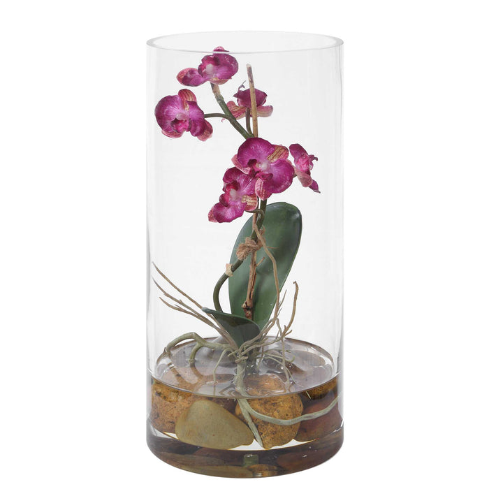 Mariposa Fuchsia Orchid