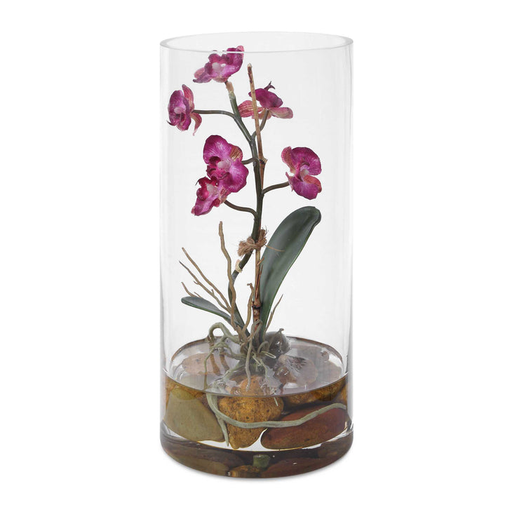Mariposa Fuchsia Orchid