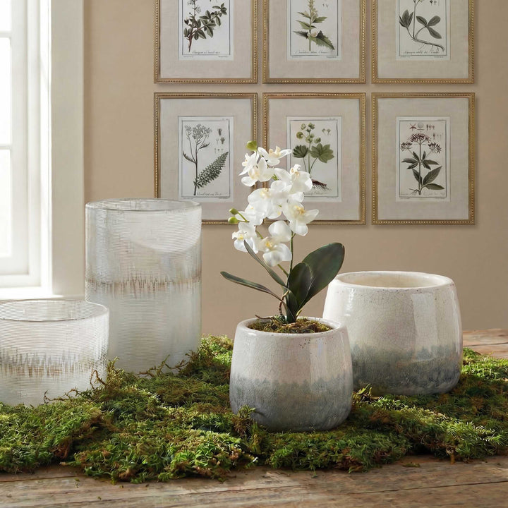 Laris Orchid Drop-In