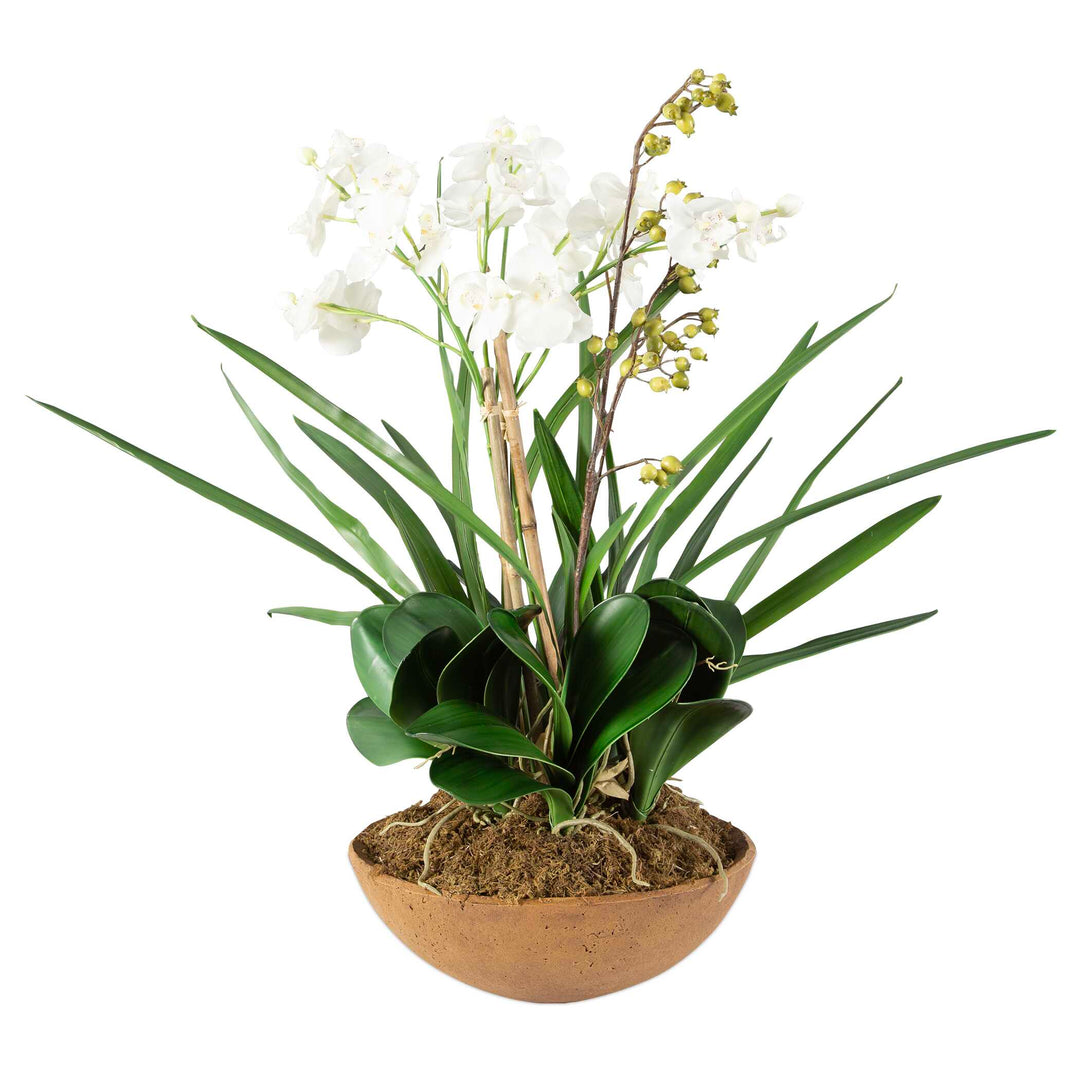 American Home Furniture Uttermost Moth Orchid Planter