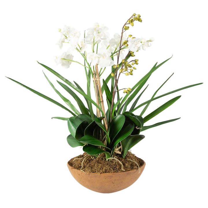 American Home Furniture Uttermost Moth Orchid Planter