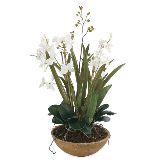 American Home Furniture Uttermost Moth Orchid Planter