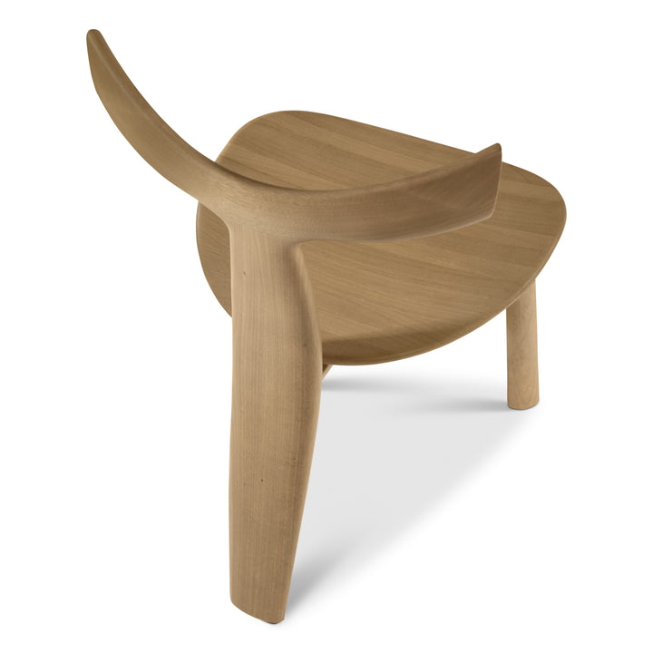 Spirit Dining Chair — silo_6