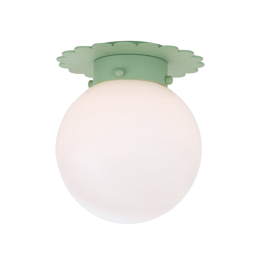 Fancy Scalloped Flushmount - C10442