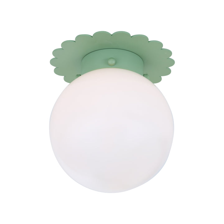 Fancy Scalloped Flushmount - C10442