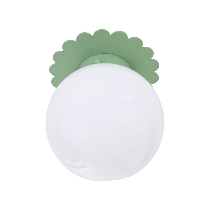 Fancy Scalloped Flushmount - C10442