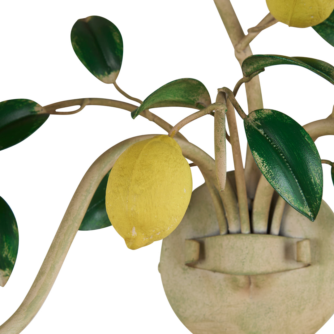 Lemon Wall Sconce - C10534