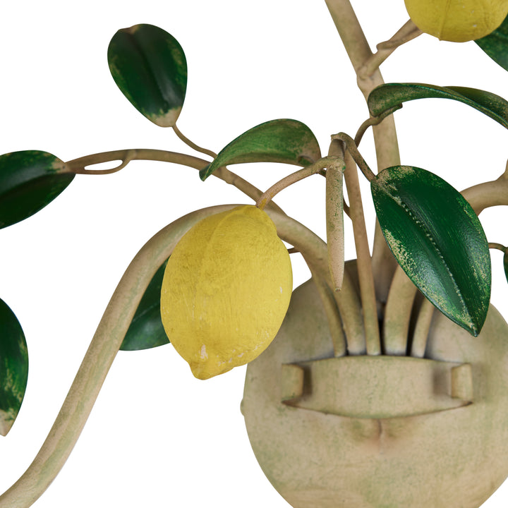 Lemon Wall Sconce - C10534