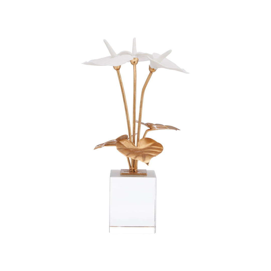 Small Anthuriums on Stand - C10539