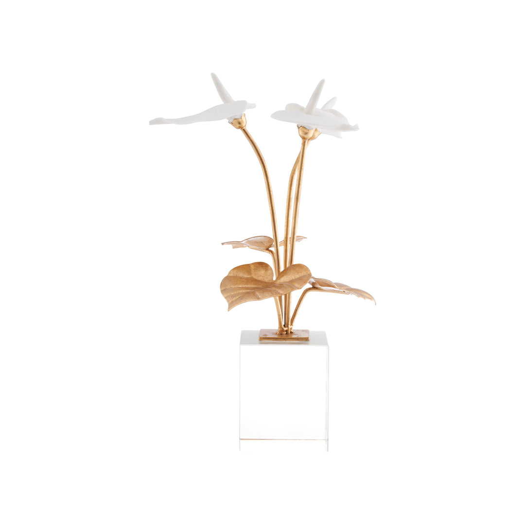 Small Anthuriums on Stand - C10539