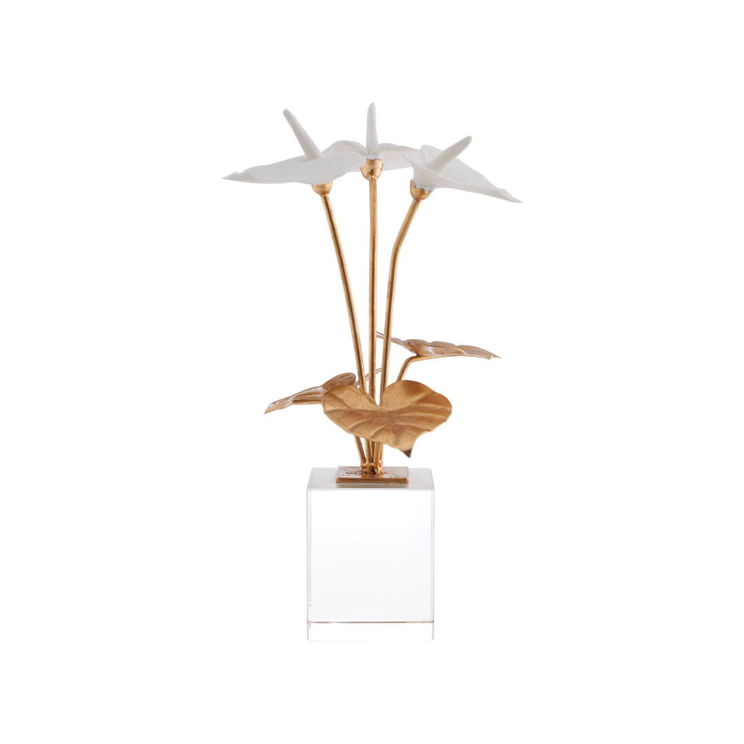 Small Anthuriums on Stand - C10539
