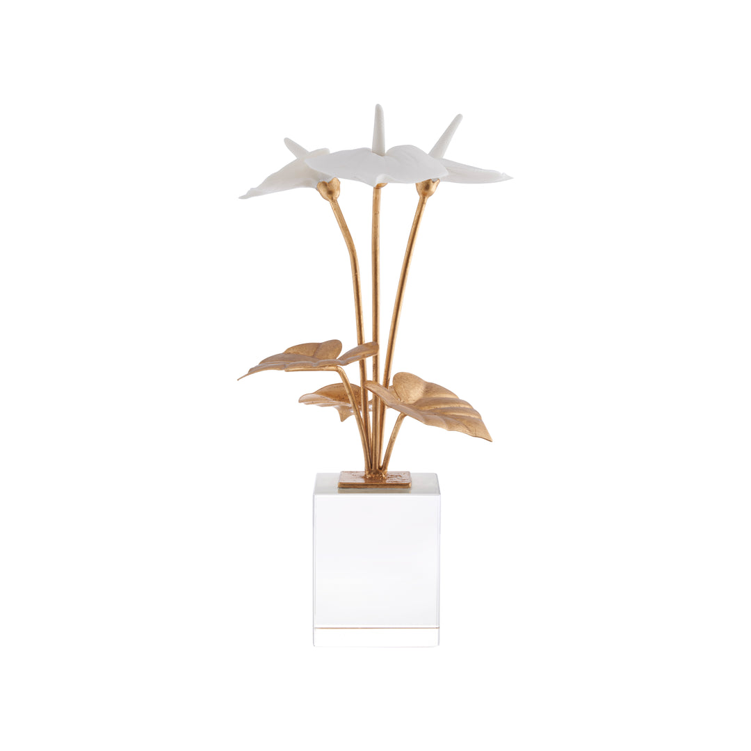 Small Anthuriums on Stand - C10539