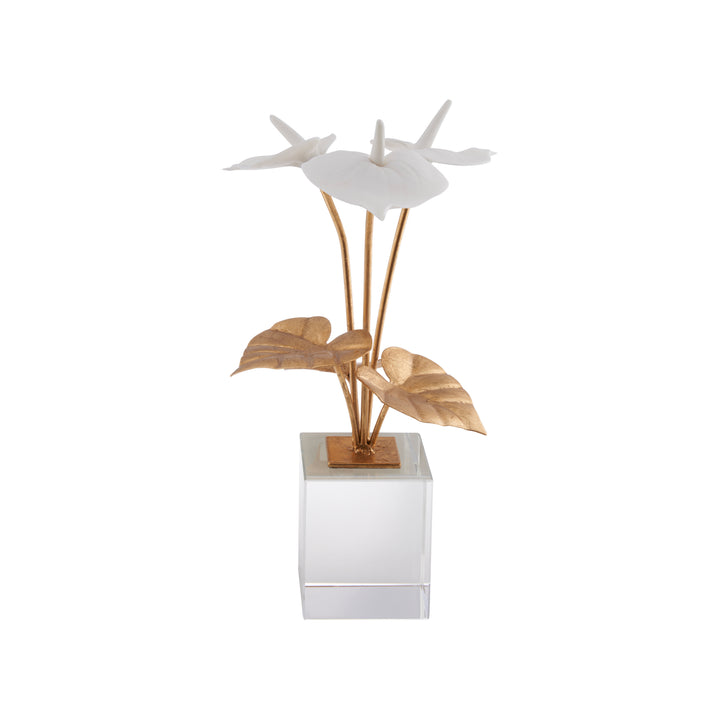 Small Anthuriums on Stand - C10539