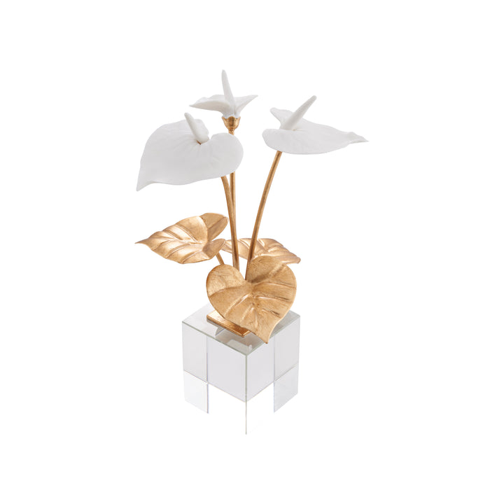 Small Anthuriums on Stand - C10539