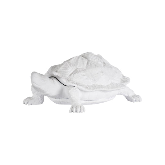 Turtle  - C10545