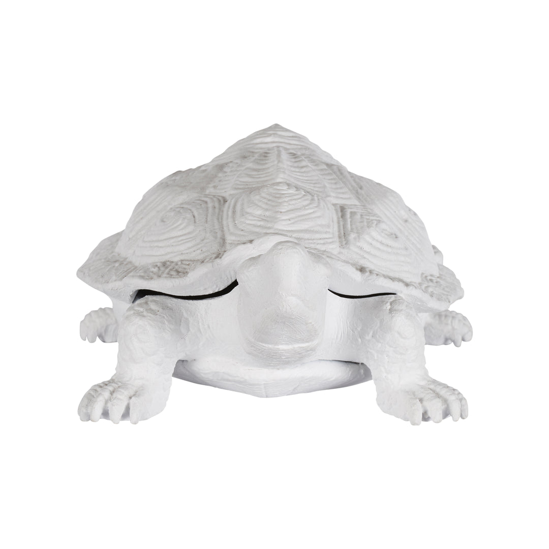 Turtle  - C10545