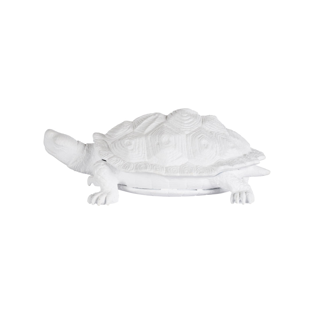 Turtle  - C10545