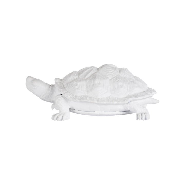 Turtle  - C10545
