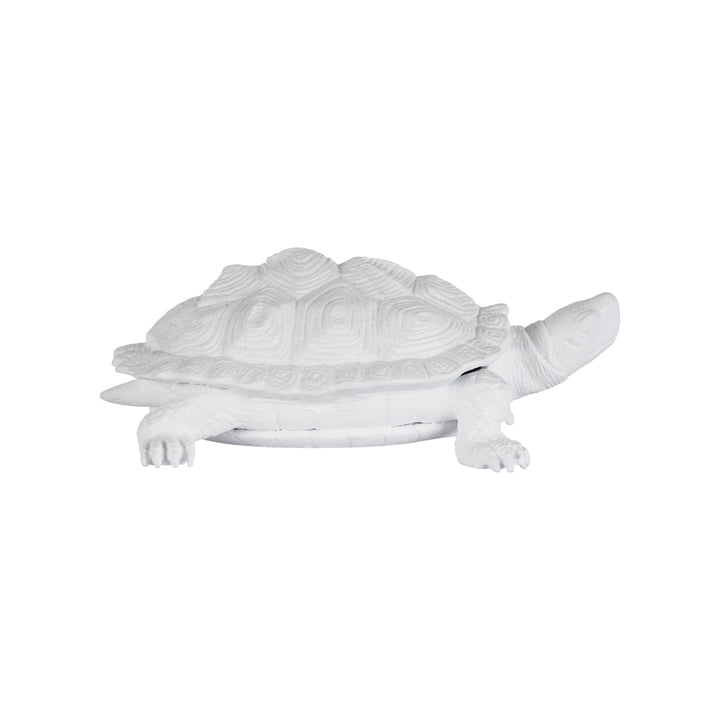 Turtle  - C10545