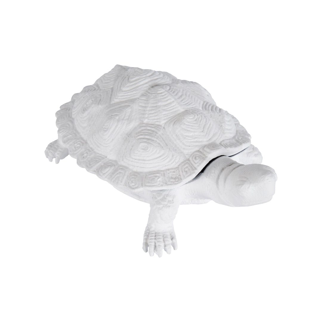 Turtle  - C10545