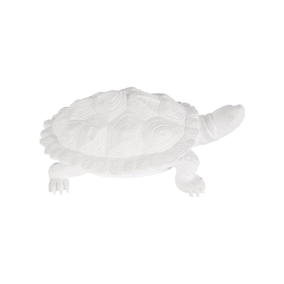 Turtle  - C10545