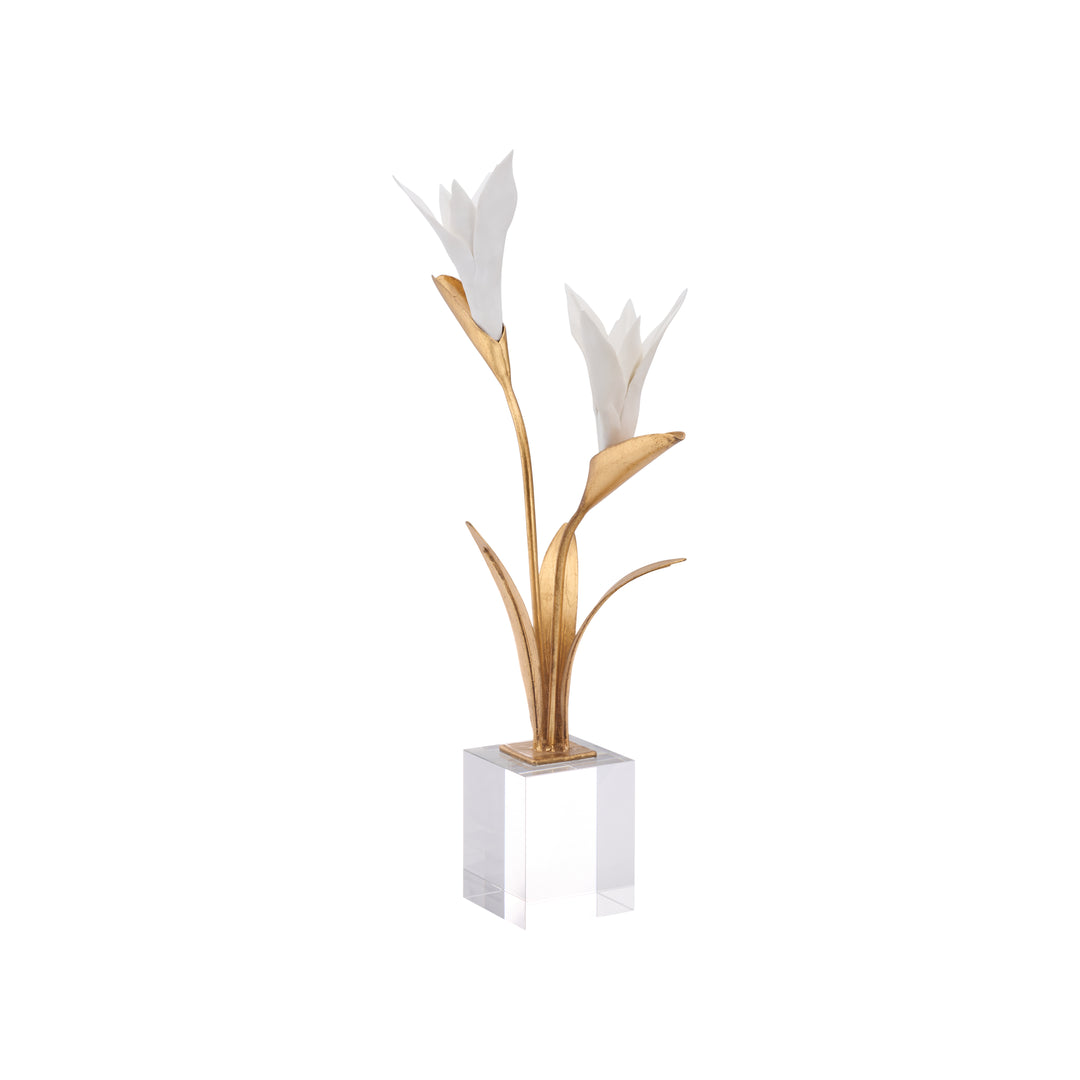 Bird of Paradise - C11020