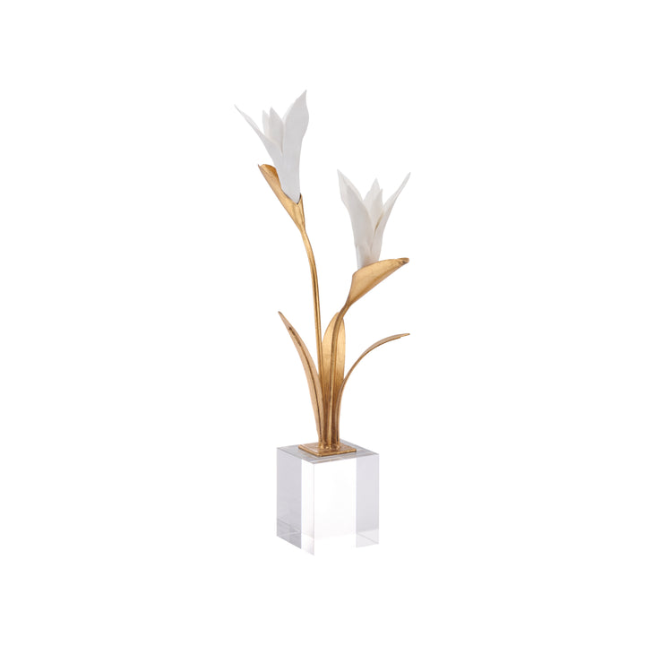 Bird of Paradise - C11020