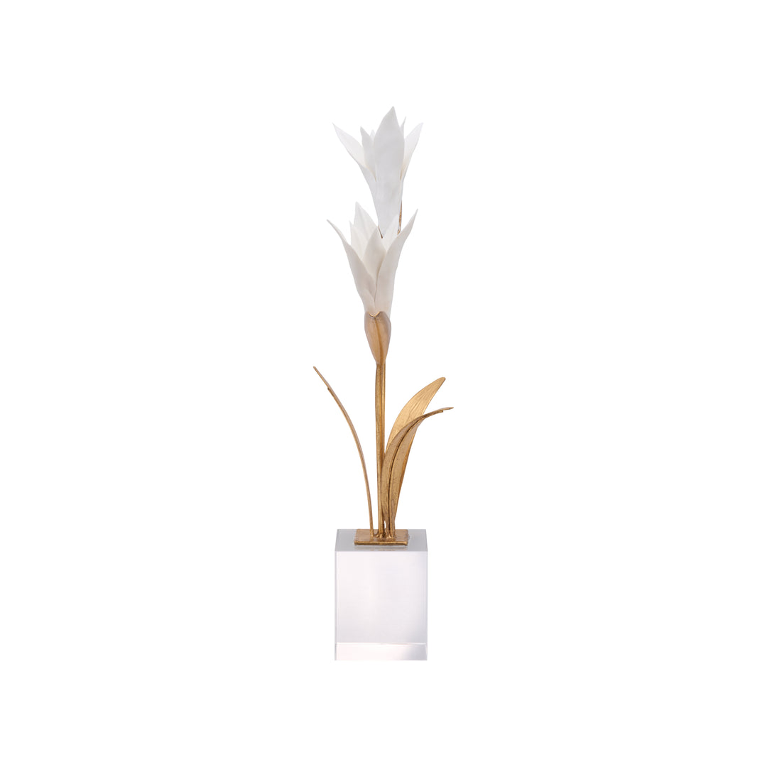 Bird of Paradise - C11020