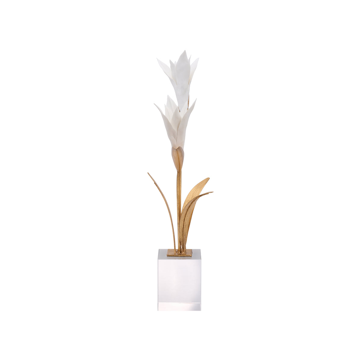 Bird of Paradise - C11020