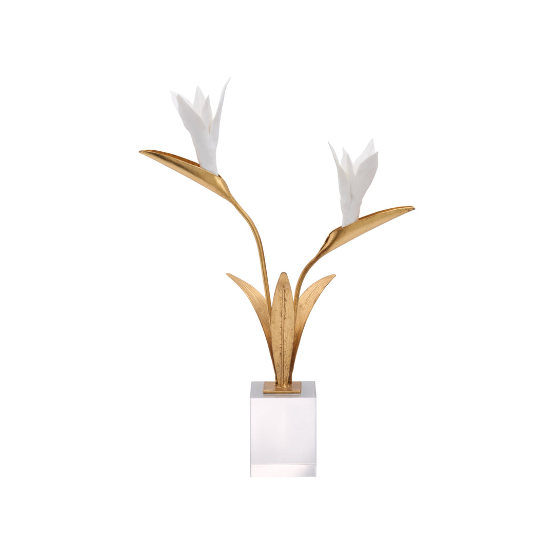 Bird of Paradise - C11020
