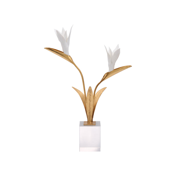 Bird of Paradise - C11020