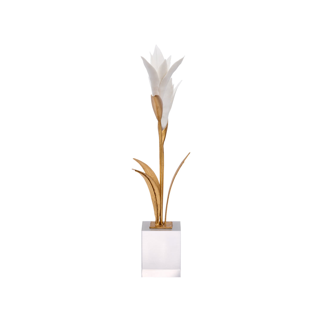 Bird of Paradise - C11020
