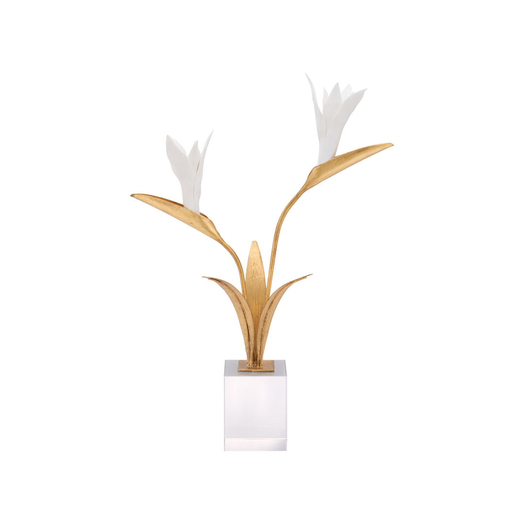 Bird of Paradise - C11020