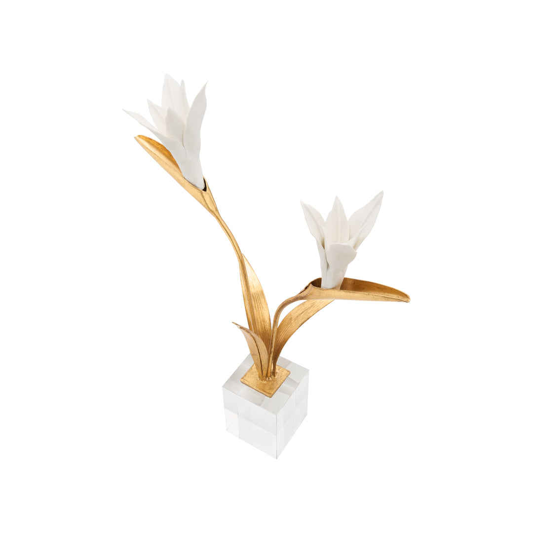 Bird of Paradise - C11020
