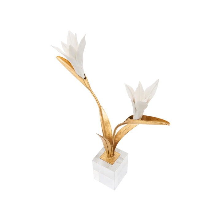 Bird of Paradise - C11020