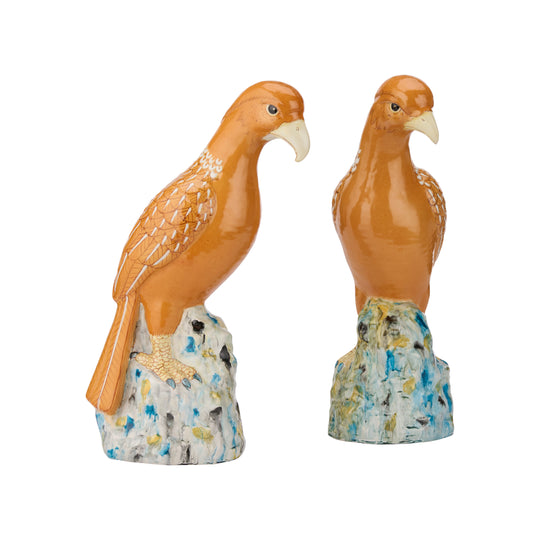 Birds of Prey (Pr) - C11055