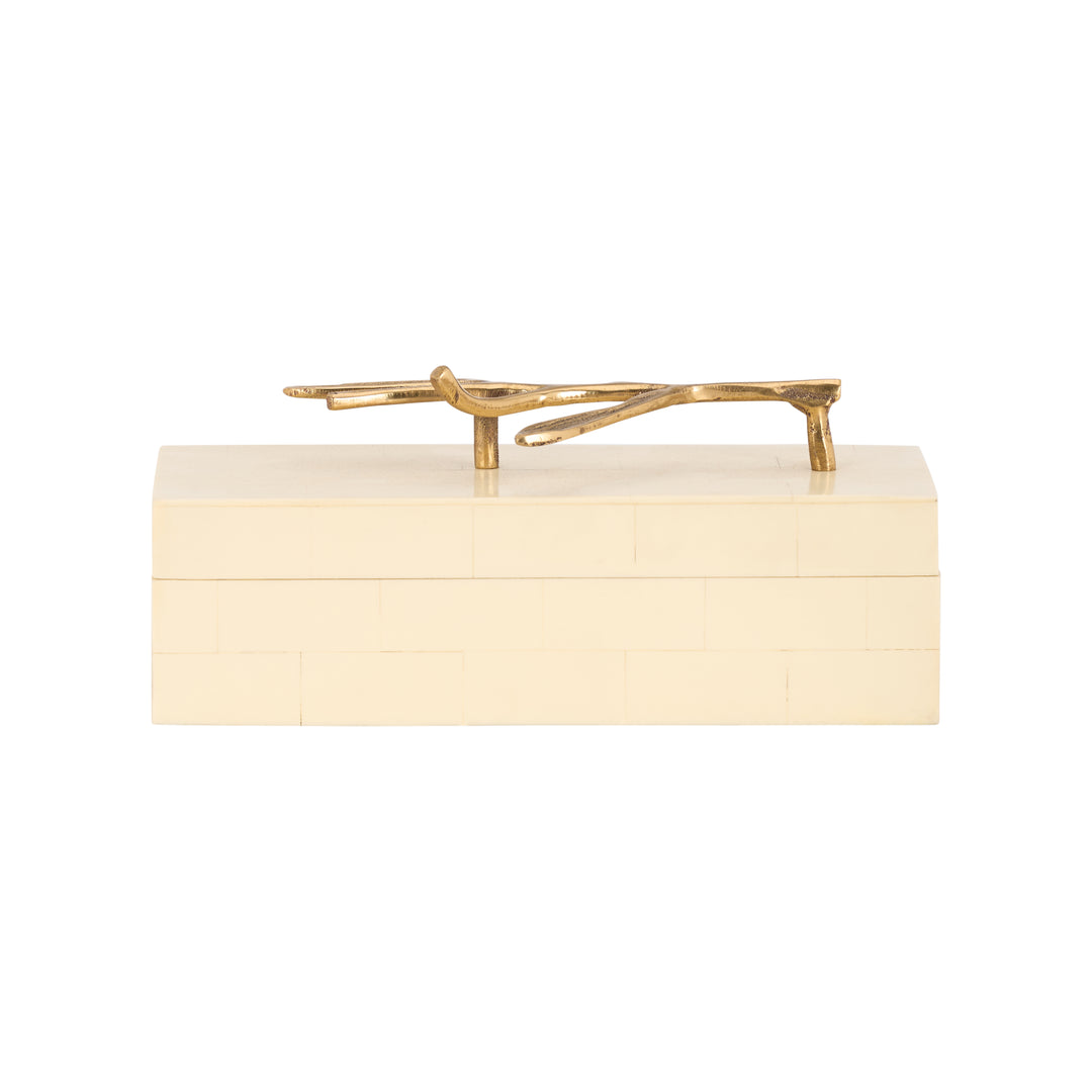 Branch Box - C11080