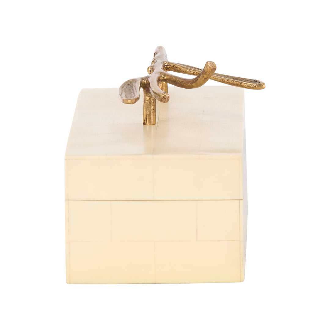 Branch Box - C11080
