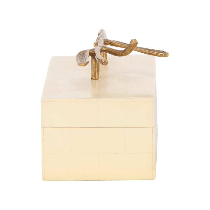 Branch Box - C11080