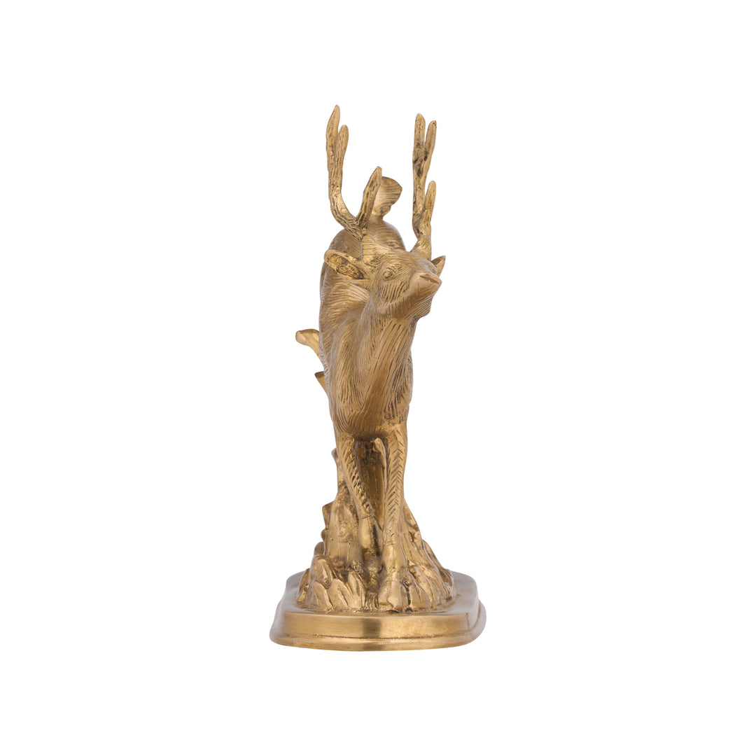 Dancing Buck - C11109