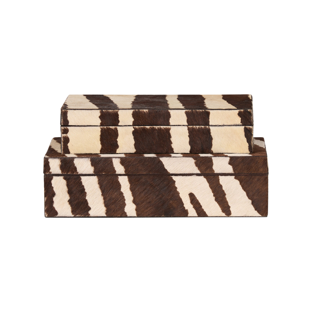 Zebra Boxes (S2) - C11219